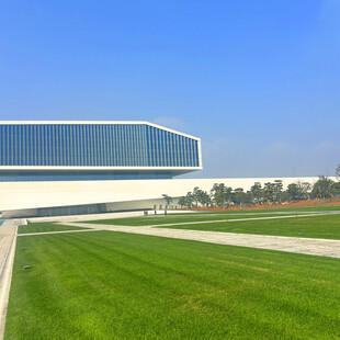 现代建筑旁的翠绿草坪