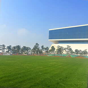 户外绿地旁的现代建筑