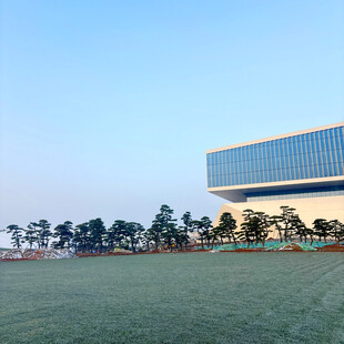 现代建筑旁的开阔绿地