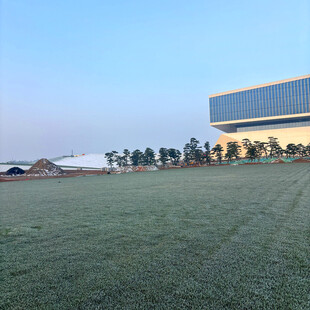 开阔绿地旁的现代建筑