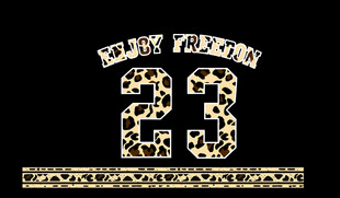 金色数字23装饰图案