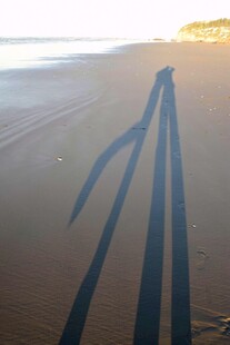 沙滩上两人影子浪漫画面