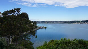 湖畔绿树蓝天美丽景致