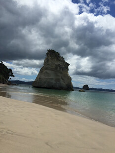 海滩上的独特岩石景观