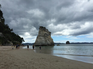 新西兰海滩上的奇特岩石