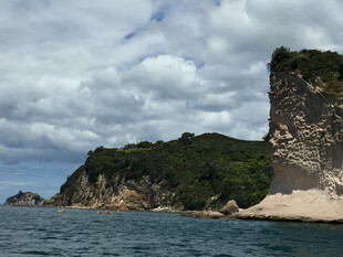 海岸边的峭壁与葱郁植被
