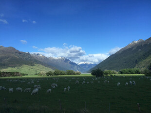 草原山峦间的美丽风光