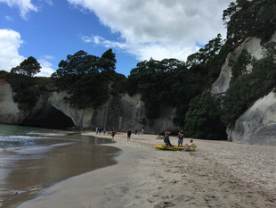 新西兰美丽海滩风光