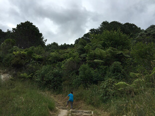 山林间徒步者的前行之路