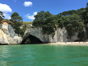 新西兰美丽洞穴海岸风光