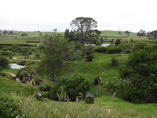 草原上的动物群