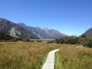 草原中的蜿蜒木栈道