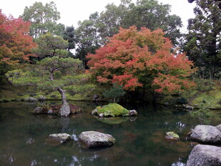 秋日湖畔多彩树木景致