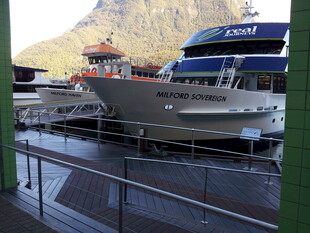 港口停靠的观光游船