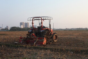 农田里的红色农机作业
