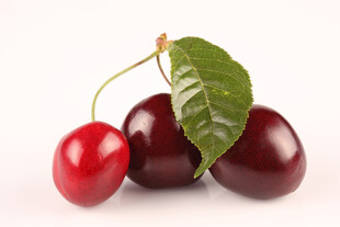 新鲜樱桃