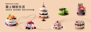 多彩精致蛋糕展示