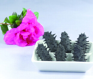 粉色玫瑰旁的黑海参