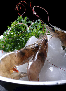 新鲜大虾配翠绿香草