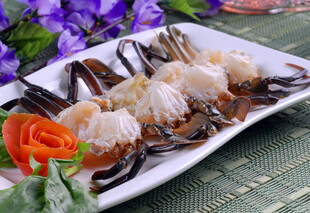 美味鱿鱼卷摆盘精致