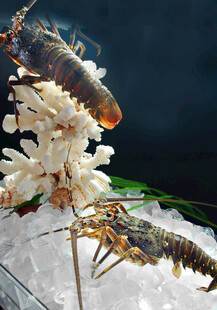 冰上鲜活小龙虾与白色物体