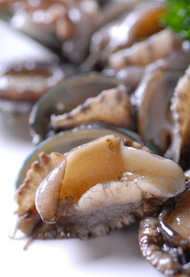 新鲜美味的贝类海鲜