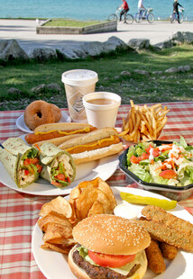 户外野餐美食盛宴