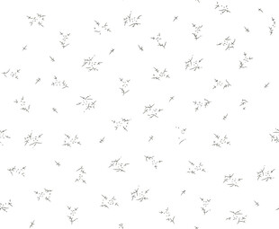 简约白色飞鸟图案背景