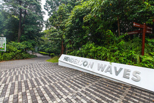 林间铺砖小径与海浪标识