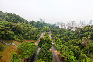 山林间的铁路景观