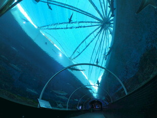 室内独特玻璃穹顶景观