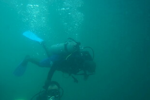 潜水员水下探索画面