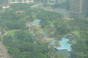 城市中的绿意盎然公园景观