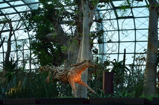 温室中的恐龙雕塑景观