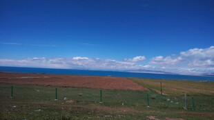 草原上的蓝天与多彩花海