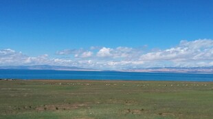 辽阔草原与远处蓝色水域