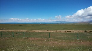 草原风光 辽阔天地美景