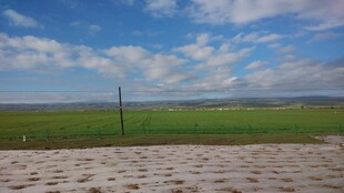 草原风光 蓝天白云下的美景