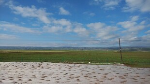 广阔田野与蓝天白云美景