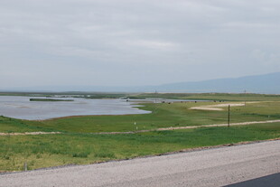 公路旁的湿地风光