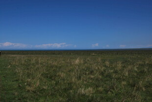 广袤草原与蓝天