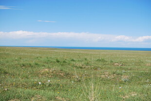 广袤草原与蓝天相接