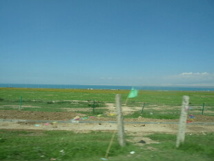 田野风光中的简易木栅栏