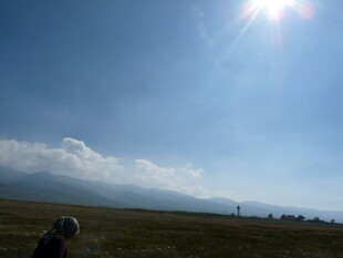 草原上的阳光与远方景色