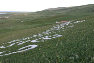 草原上的残雪景观