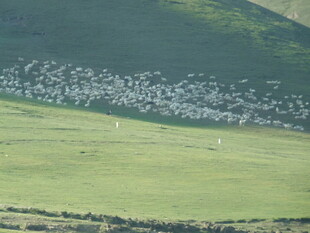 草原畔的村落景观