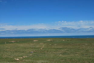 草原与蓝天相接的开阔景致