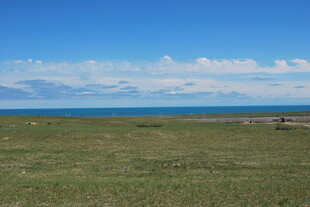 草原与海的辽阔景致