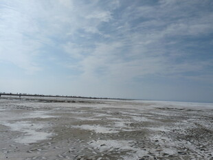 广阔盐碱地景观