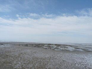 广阔滩涂与蓝天白云